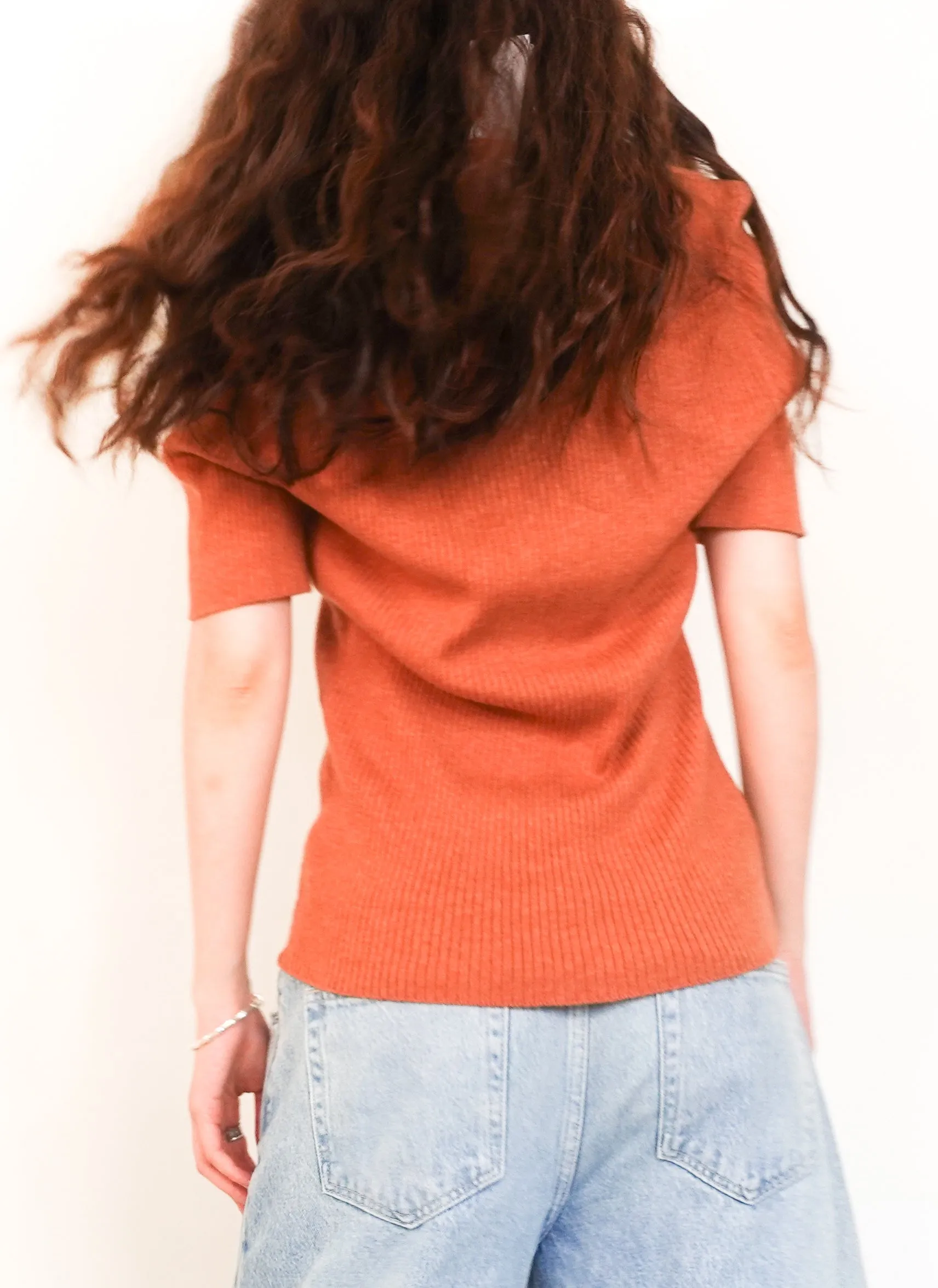Brown knitted polo shirt