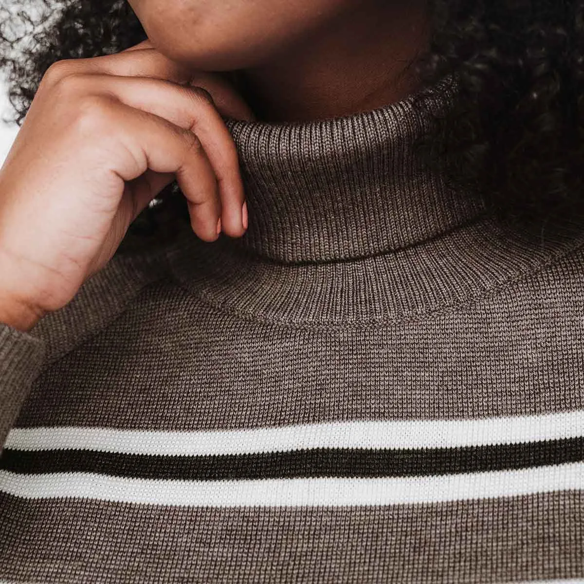 The Go-To Turtleneck Taupe Multistripe